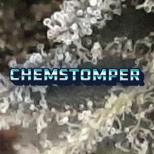 Chemstomper Cannabis Strain