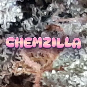 Chemzilla Cannabis Strain