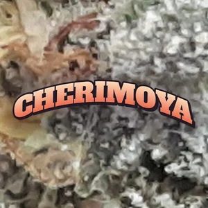 Cherimoya Cannabis Strain