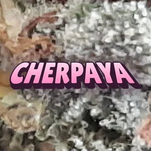 Cherpaya Cannabis Strain