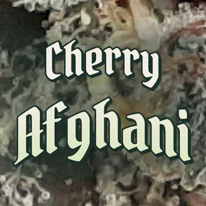 Cherry Afghani Cannabis Strain