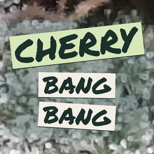 Cherry Bang Bang Cannabis Strain