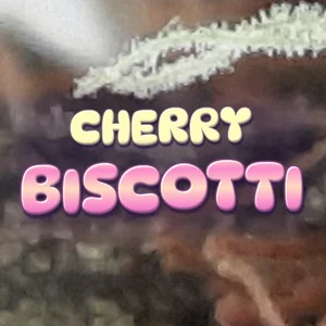 Cherry Biscotti Cannabis Strain