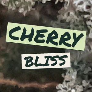 Cherry Bliss Cannabis Strain