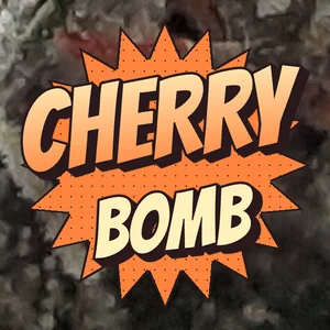 Cherry Bomb Cannabis Strain