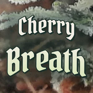 Cherry Breath Cannabis Strain