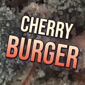 Cherry Burger Cannabis Strain