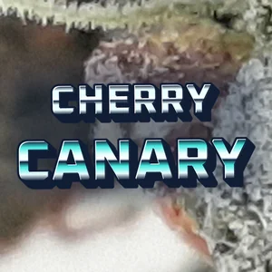 Cherry Canary Cannabis Strain