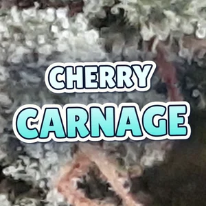 Cherry Carnage Cannabis Strain