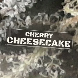 Cherry Cheesecake Cannabis Strain
