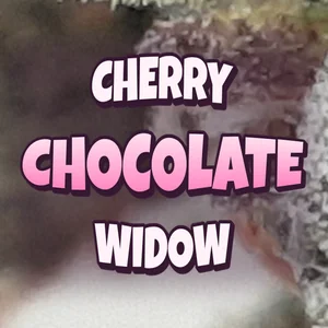 Cherry Chocolate Widow Cannabis Strain