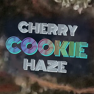 Cherry Cookie Haze Cannabis Strain