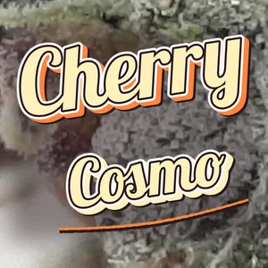 Cherry Cosmo Cannabis Strain