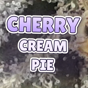 Cherry Cream Pie Cannabis Strain