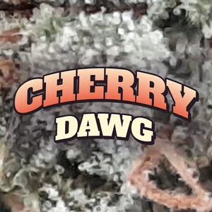 Cherry Dawg Cannabis Strain