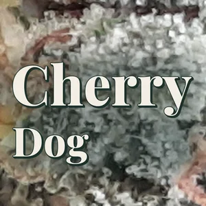 Cherry Dog Cannabis Strain