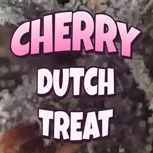 Cherry Dutch Treat Cannabis Strain