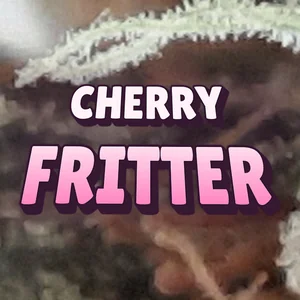 Cherry Fritter Cannabis Strain