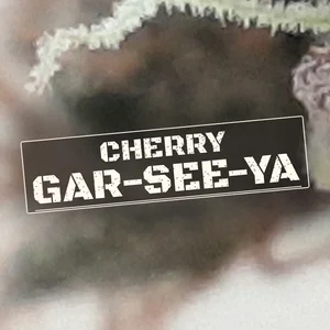 Cherry Gar-See-Ya Cannabis Strain