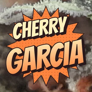 Cherry Garcia Cannabis Strain