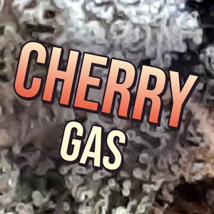 Cherry Gas Cannabis Strain