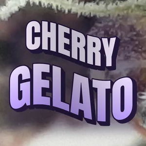 Cherry Gelato Cannabis Strain