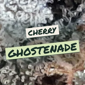 Cherry Ghostenade Cannabis Strain