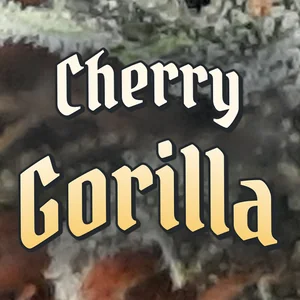 Cherry Gorilla Cannabis Strain