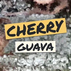 Cherry Guava Cannabis Strain