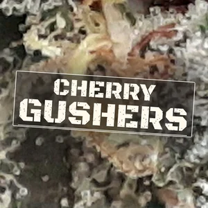 Cherry Gushers Cannabis Strain