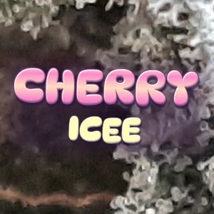 Cherry Icee Cannabis Strain