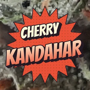 Cherry Kandahar Cannabis Strain