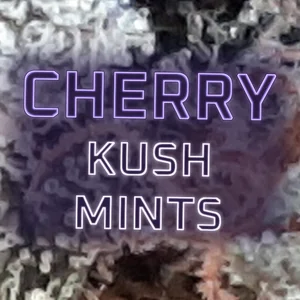 Cherry Kush Mints Cannabis Strain