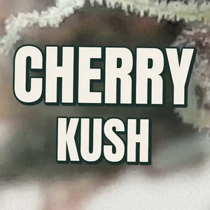 Cherry Kush Cannabis Strain