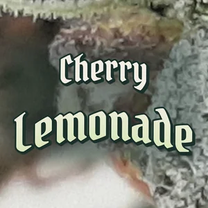 Cherry Lemonade Cannabis Strain
