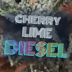Cherry Lime Diesel Cannabis Strain