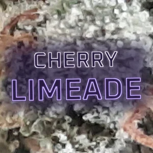 Cherry Limeade Cannabis Strain