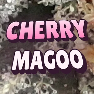 Cherry Magoo Cannabis Strain