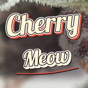 Cherry Meow Cannabis Strain