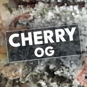 Cherry OG Cannabis Strain