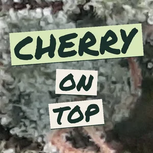 Cherry on Top Cannabis Strain