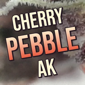 Cherry Pebble AK Cannabis Strain
