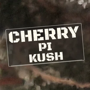 Cherry Pi Kush Cannabis Strain