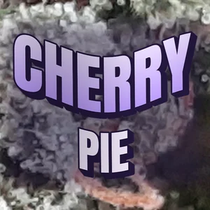 Cherry Pie Cannabis Strain