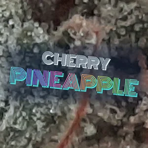 Cherry Pineapple Cannabis Strain