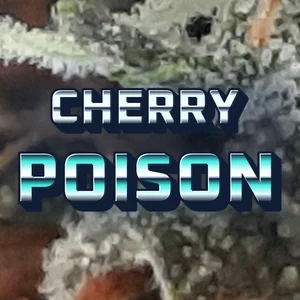 Cherry Poison Cannabis Strain