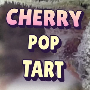 Cherry Pop Tart Cannabis Strain