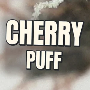 Cherry Puff Cannabis Strain