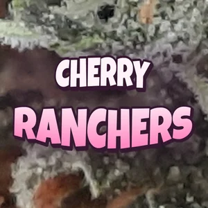 Cherry Ranchers Cannabis Strain