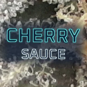 Cherry Sauce Cannabis Strain